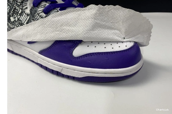 DJ4636-100 Nike the Low Dunk School Old Flip 0831